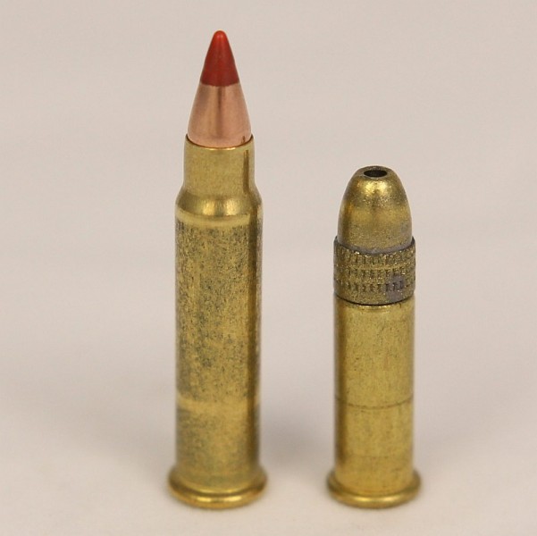 17HMR vs 22LR