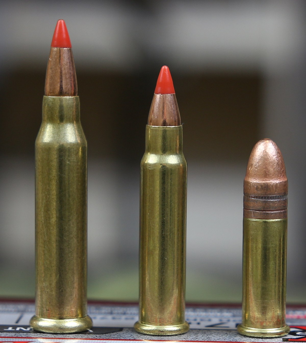 22 Hornet vs 17 HMR. 