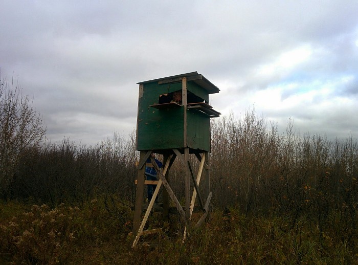 4x4 elevated hunting shack