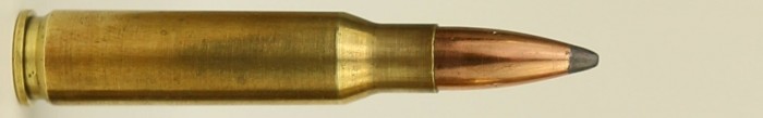 308 Winchester