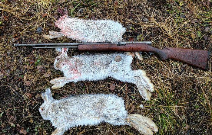 Savage 6 “Click Clack” “Gill Gun” 22