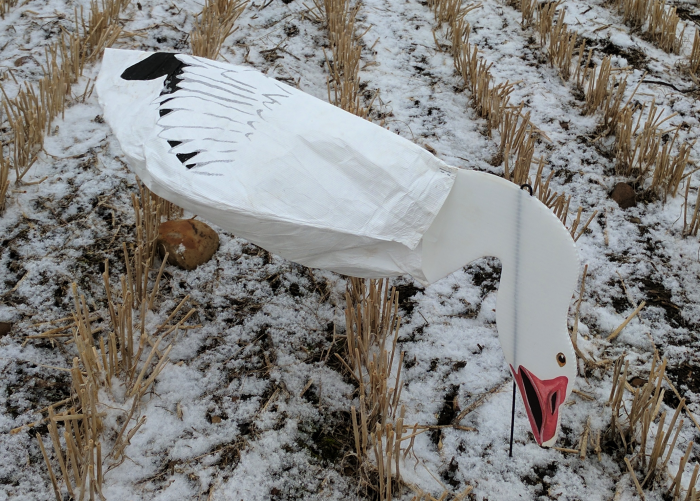 SilloSocks Windsock Snow Goose Decoy Review