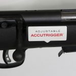 Savage 22 mag Review