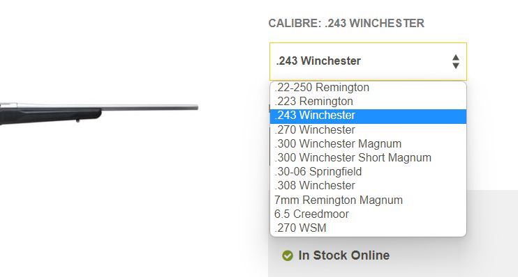 The Most Common Bullet Sizes And What They're Good For - The Truth