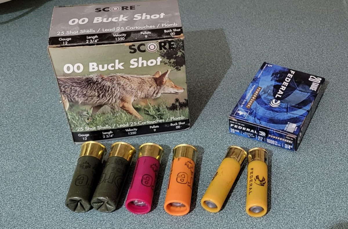 Slugs vs Buckshot for Deer